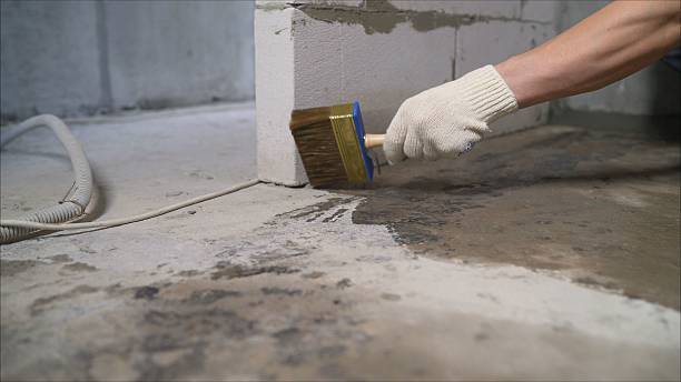 SJ Waterproofing Pros Waterproofing coverage map for Alexandria, AL and surrounding area